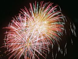 silvester